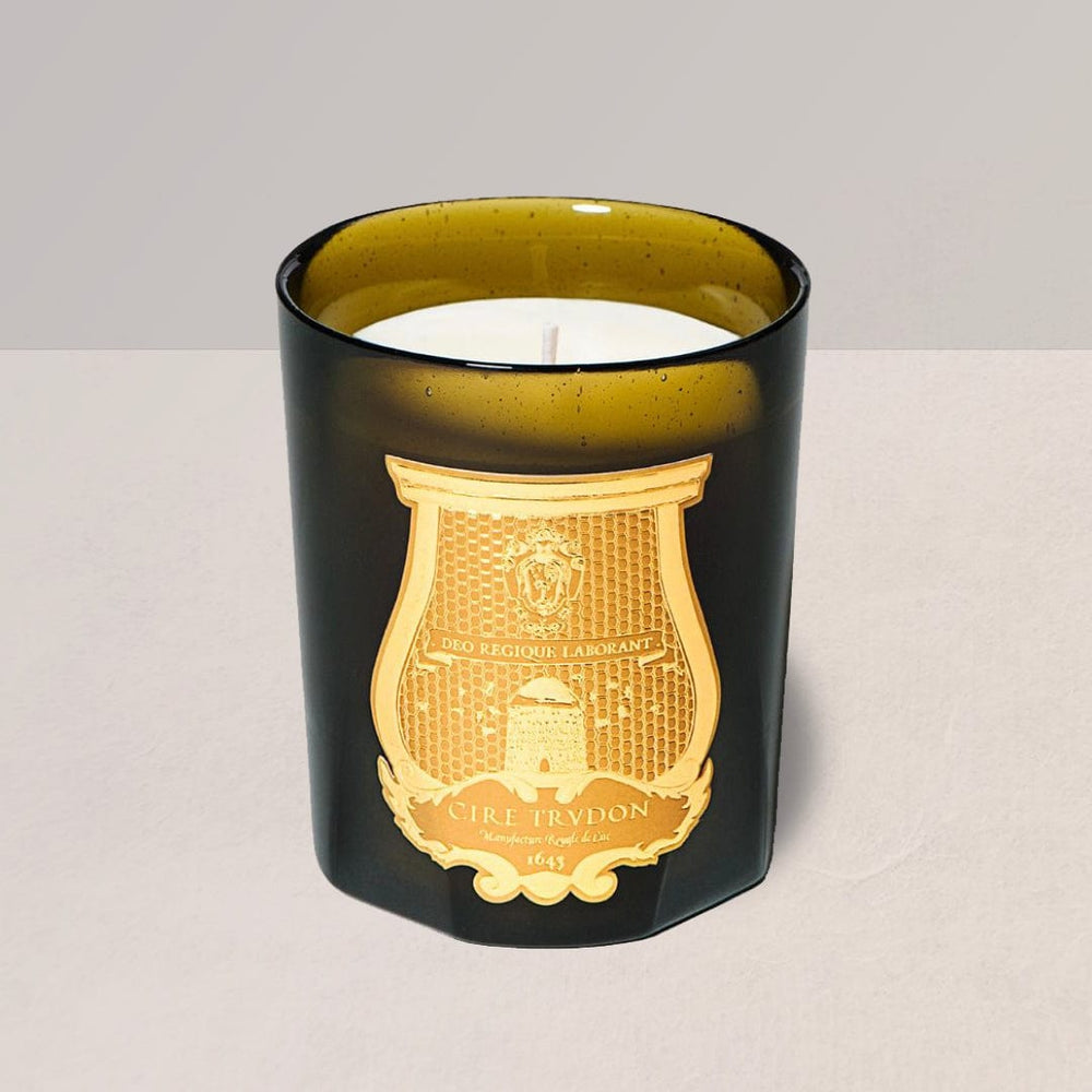 Cire Trudon Candles Classic 270g / 9.5 oz Ernesto Candle