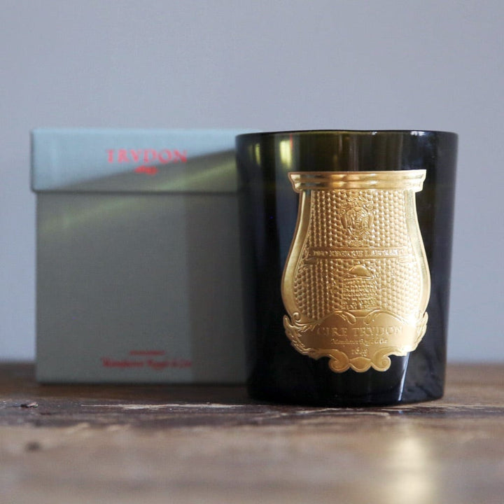 Cire Trudon Candles Classic 270g / 9.5 oz Gabriel Candle