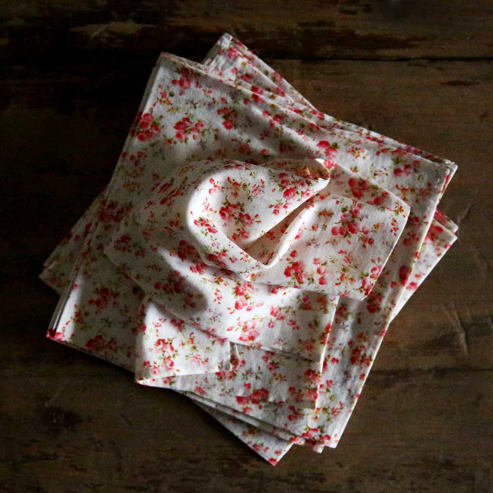 D’Ascoli D'Ascoli Napkins