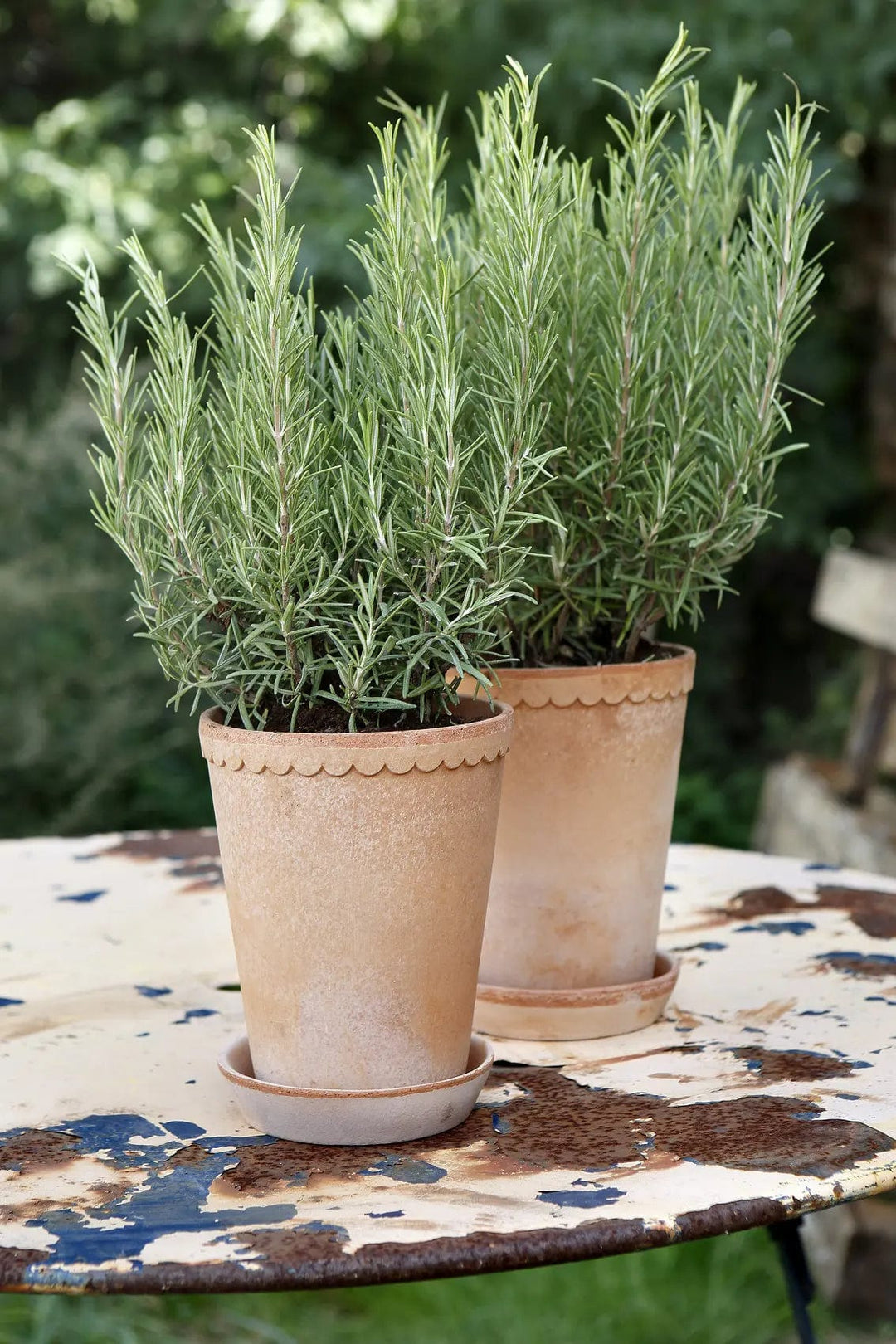 BERGS POTTER Pots & Planters 14cm Helena Pot - 14cm