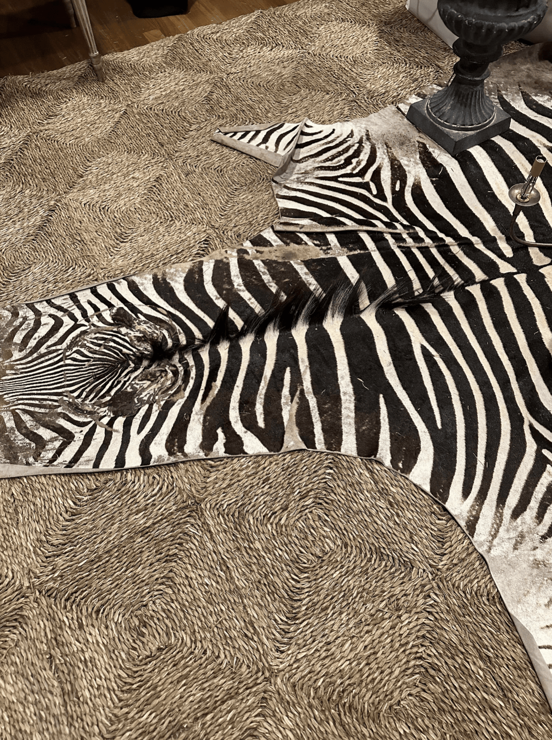 JENNY FINDS Rugs Zebra Hide Rug