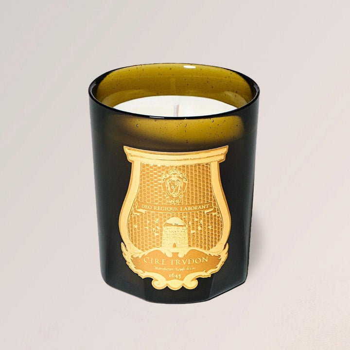 Cire Trudon Candles Classic 270g / 9.5 oz Gabriel Candle