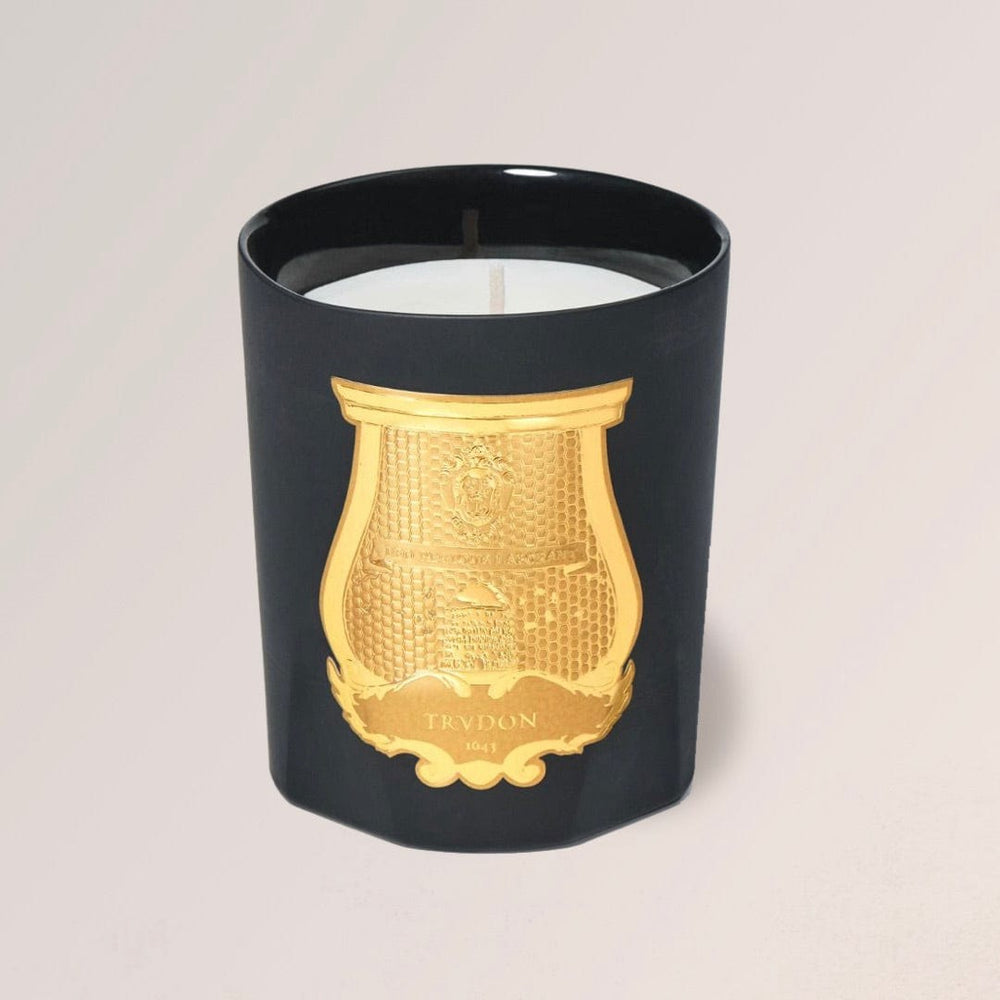 Cire Trudon Candles Mary / Classic 270g / 9.5 oz Mary Candle