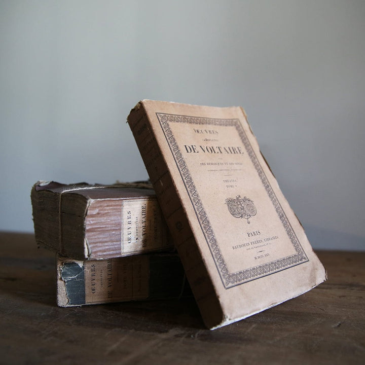 THE HUNTRESS Accessories - Book De Voltaire Antique French Paper Books